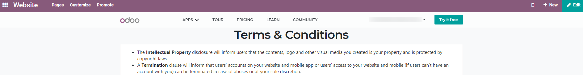 General Terms & Conditions on your website